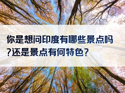 你是想问印度有哪些景点吗？还是景点有何特色？