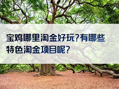 宝鸡哪里淘金好玩？有哪些特色淘金项目呢？