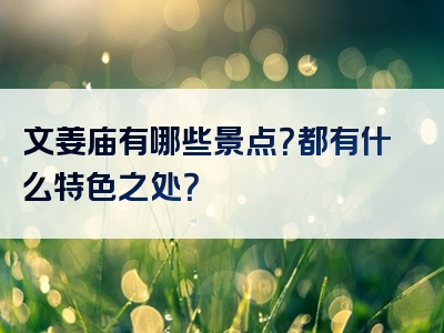 文姜庙有哪些景点？都有什么特色之处？