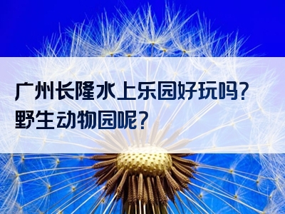 广州长隆水上乐园好玩吗？野生动物园呢？