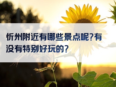 忻州附近有哪些景点呢？有没有特别好玩的？