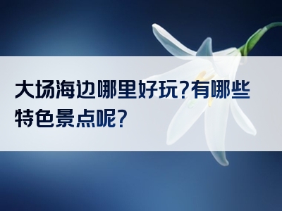 大场海边哪里好玩？有哪些特色景点呢？
