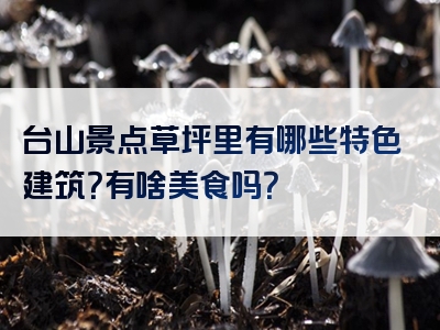 台山景点草坪里有哪些特色建筑？有啥美食吗？