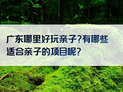 广东哪里好玩亲子？有哪些适合亲子的项目呢？