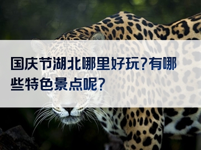 国庆节湖北哪里好玩？有哪些特色景点呢？