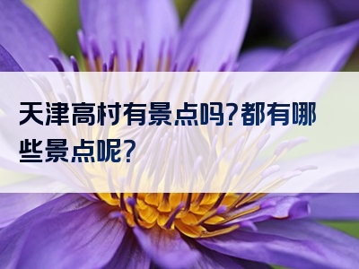 天津高村有景点吗？都有哪些景点呢？