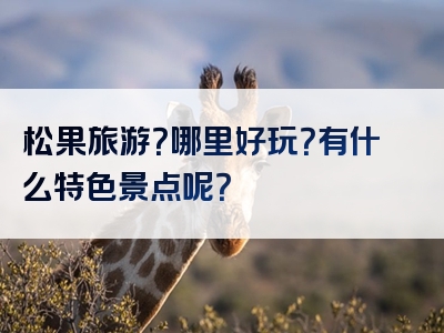 松果旅游？哪里好玩？有什么特色景点呢？