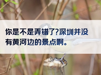 你是不是弄错了？深圳并没有黄河边的景点啊。