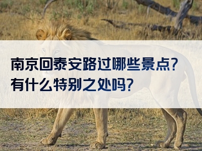 南京回泰安路过哪些景点？有什么特别之处吗？