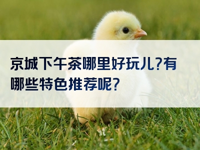 京城下午茶哪里好玩儿？有哪些特色推荐呢？