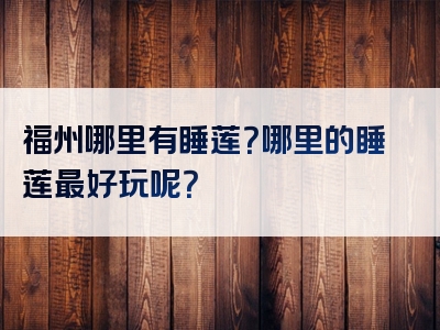 福州哪里有睡莲？哪里的睡莲最好玩呢？