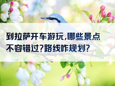 到拉萨开车游玩，哪些景点不容错过？路线咋规划？
