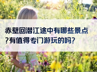 赤壁回潜江途中有哪些景点？有值得专门游玩的吗？