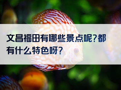 文昌福田有哪些景点呢？都有什么特色呀？
