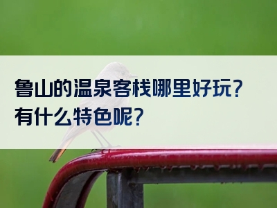 鲁山的温泉客栈哪里好玩？有什么特色呢？