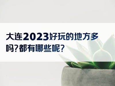 大连2023好玩的地方多吗？都有哪些呢？