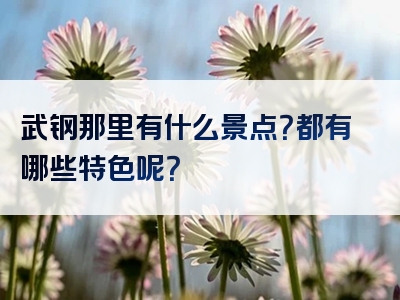 武钢那里有什么景点？都有哪些特色呢？
