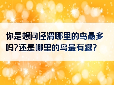 你是想问泾渭哪里的鸟最多吗？还是哪里的鸟最有趣？