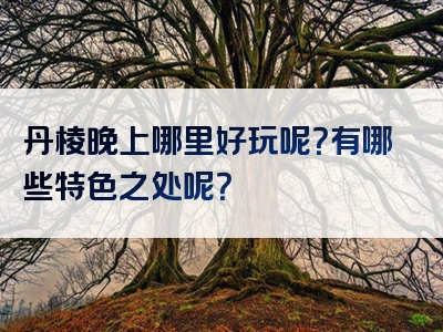 丹棱晚上哪里好玩呢？有哪些特色之处呢？