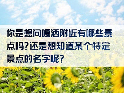 你是想问嘎洒附近有哪些景点吗？还是想知道某个特定景点的名字呢？