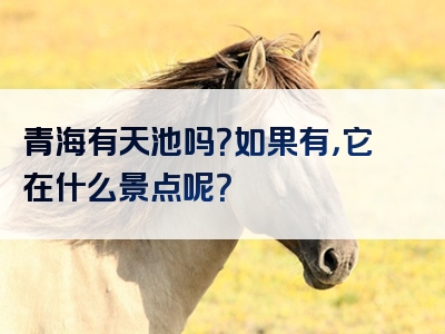 青海有天池吗？如果有，它在什么景点呢？