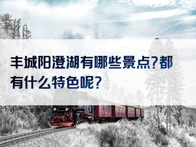 丰城阳澄湖有哪些景点？都有什么特色呢？