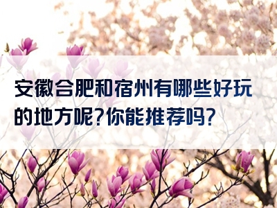 安徽合肥和宿州有哪些好玩的地方呢？你能推荐吗？