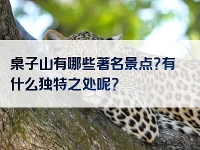 桌子山有哪些著名景点？有什么独特之处呢？