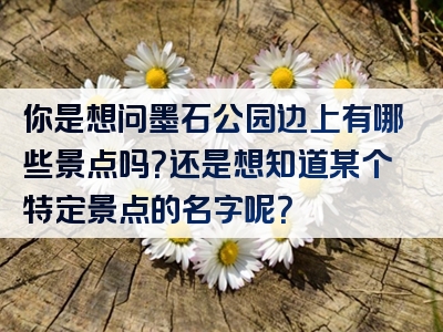 你是想问墨石公园边上有哪些景点吗？还是想知道某个特定景点的名字呢？