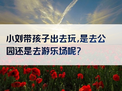 小刘带孩子出去玩，是去公园还是去游乐场呢？