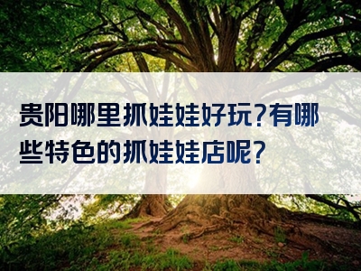 贵阳哪里抓娃娃好玩？有哪些特色的抓娃娃店呢？