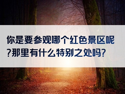 你是要参观哪个红色景区呢？那里有什么特别之处吗？