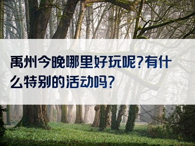 禹州今晚哪里好玩呢？有什么特别的活动吗？