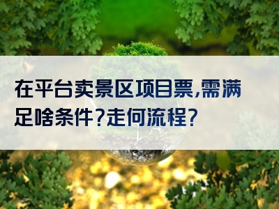 在平台卖景区项目票，需满足啥条件？走何流程？