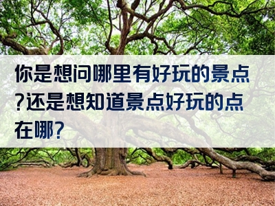 你是想问哪里有好玩的景点？还是想知道景点好玩的点在哪？