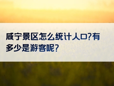 咸宁景区怎么统计人口？有多少是游客呢？