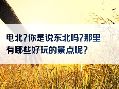 电北？你是说东北吗？那里有哪些好玩的景点呢？
