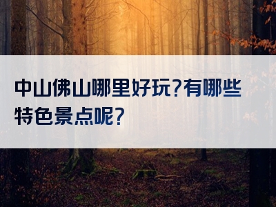 中山佛山哪里好玩？有哪些特色景点呢？