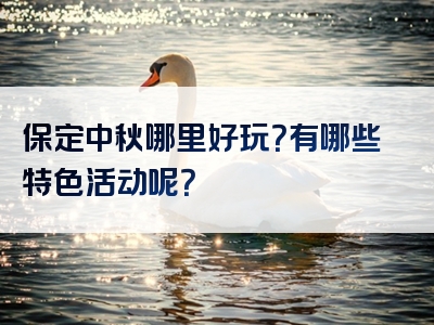 保定中秋哪里好玩？有哪些特色活动呢？