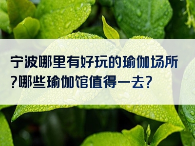 宁波哪里有好玩的瑜伽场所？哪些瑜伽馆值得一去？