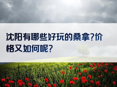 沈阳有哪些好玩的桑拿？价格又如何呢？