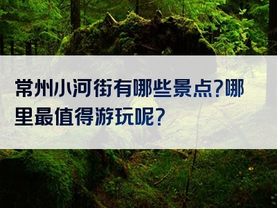 常州小河街有哪些景点？哪里最值得游玩呢？