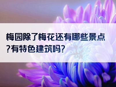 梅园除了梅花还有哪些景点？有特色建筑吗？