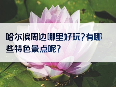 哈尔滨周边哪里好玩？有哪些特色景点呢？