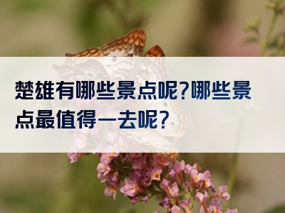 楚雄有哪些景点呢？哪些景点最值得一去呢？