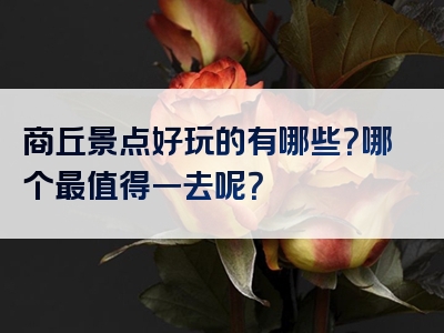 商丘景点好玩的有哪些？哪个最值得一去呢？