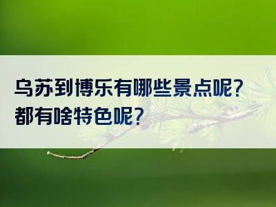 乌苏到博乐有哪些景点呢？都有啥特色呢？