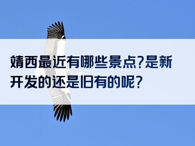 靖西最近有哪些景点？是新开发的还是旧有的呢？