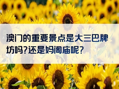 澳门的重要景点是大三巴牌坊吗？还是妈阁庙呢？