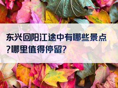 东兴回阳江途中有哪些景点？哪里值得停留？